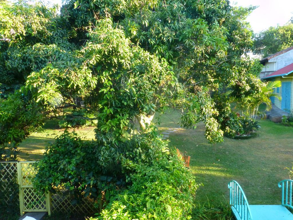 Casa De Las Tias San Jose  Ngoại thất bức ảnh